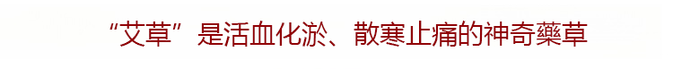 蒸汽艾草暖膝貼